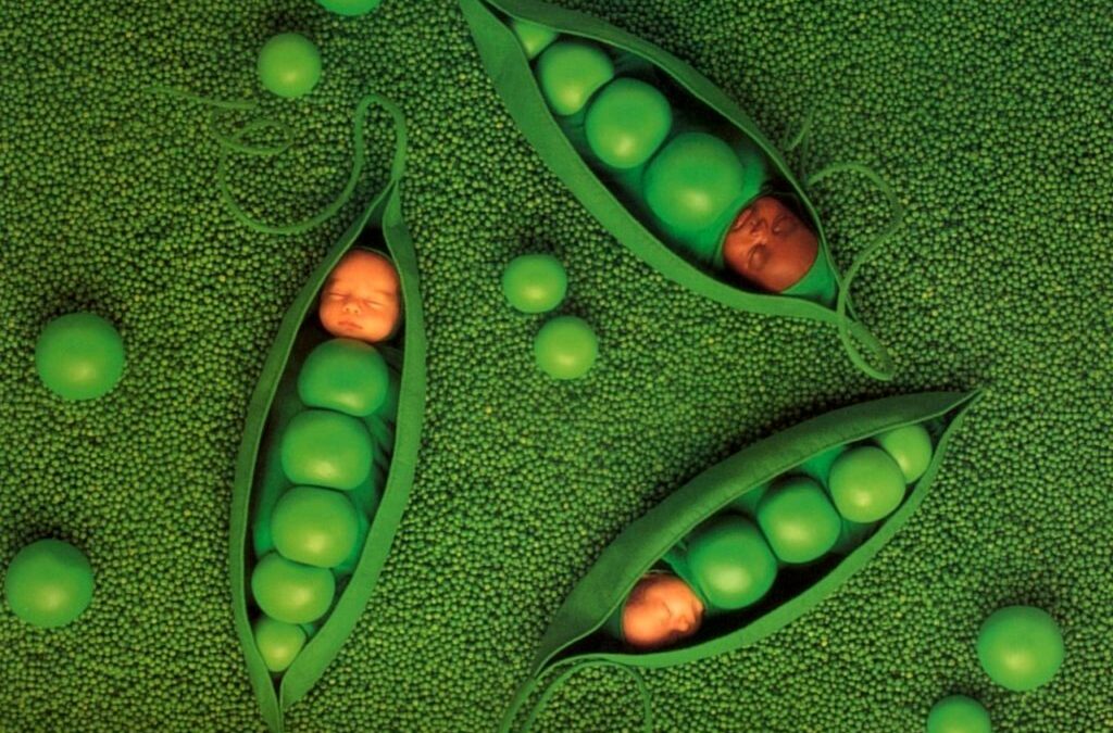 Kicking and Screaming – Baby Sex