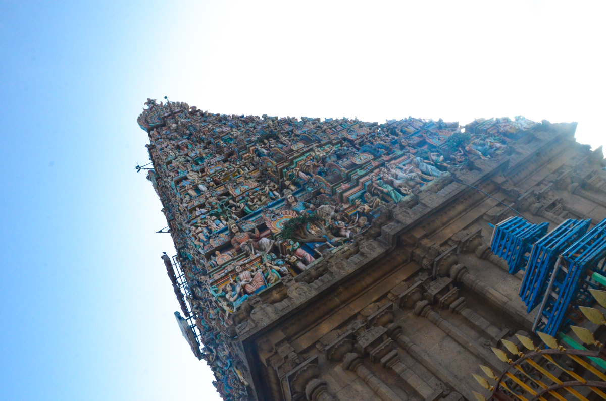 India2015 (81 of 148)